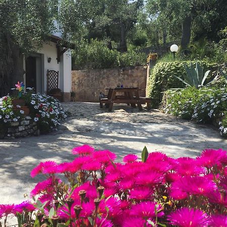 Azienda Agricola B&B Macchiaria 비에스테 외부 사진