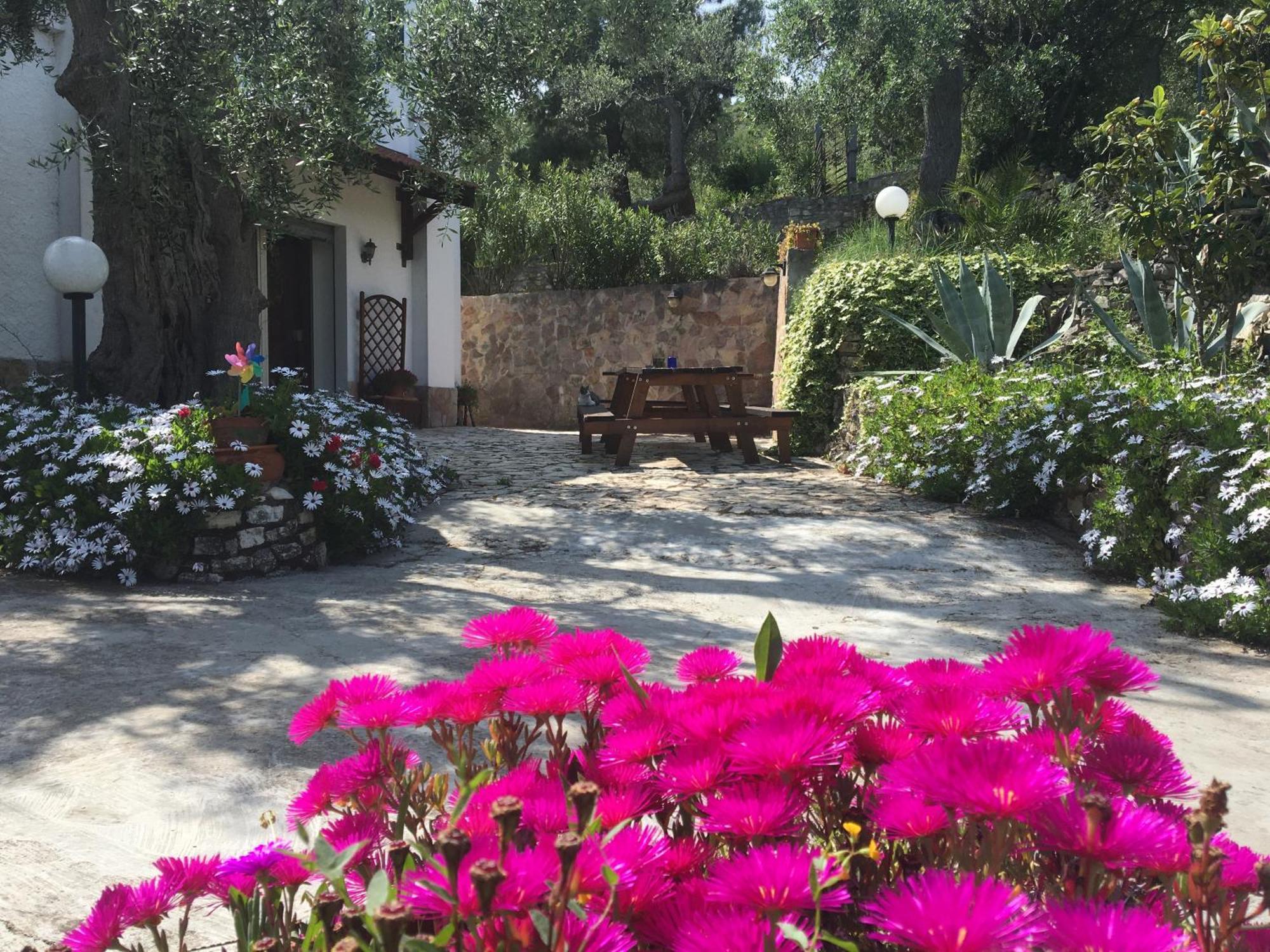 Azienda Agricola B&B Macchiaria 비에스테 외부 사진